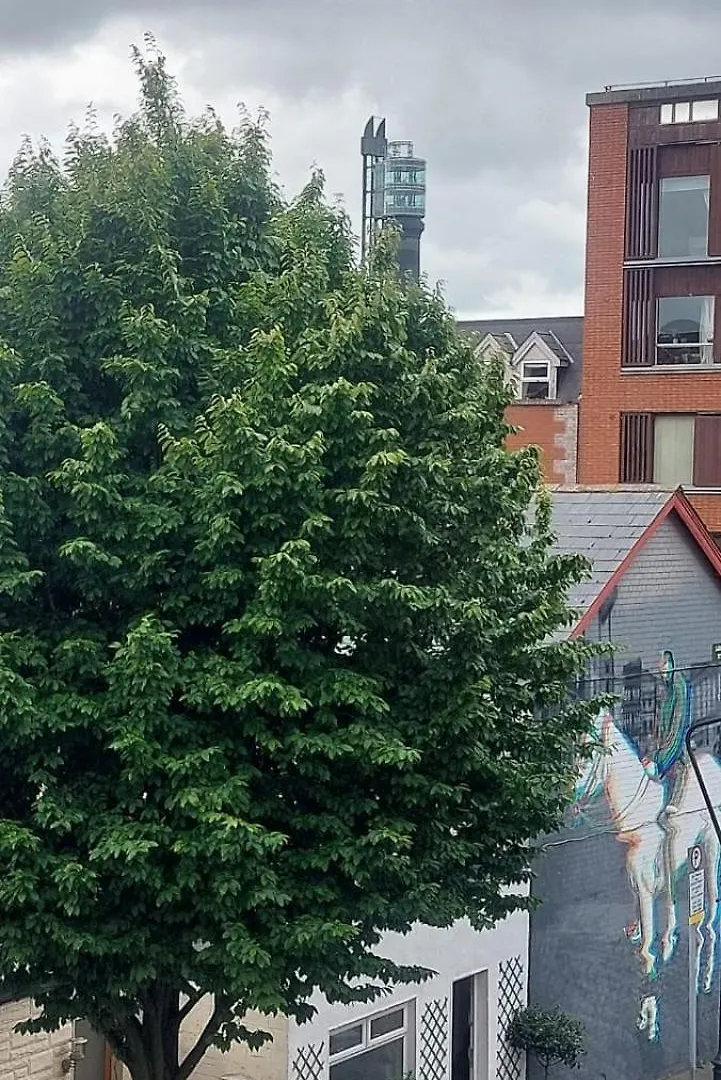 Spacious 1Bd In City Centre 9Mins To Jervis Dublin 0*,